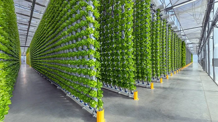 Can Vertical Farming Really Feed the World? What the Data Shows